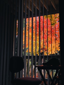 Vertical blinds partially cover a window, revealing a vibrant autumn scene outside with red and yellow foliage of a tree. Inside, the room is dimly lit, with silhouetted objects including a chair and a small table.