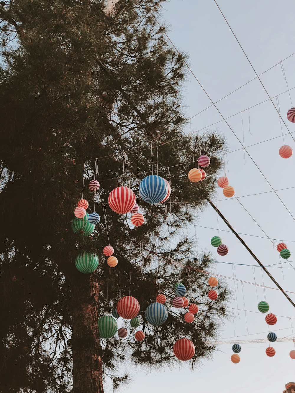 paper lanterns decorations by tree