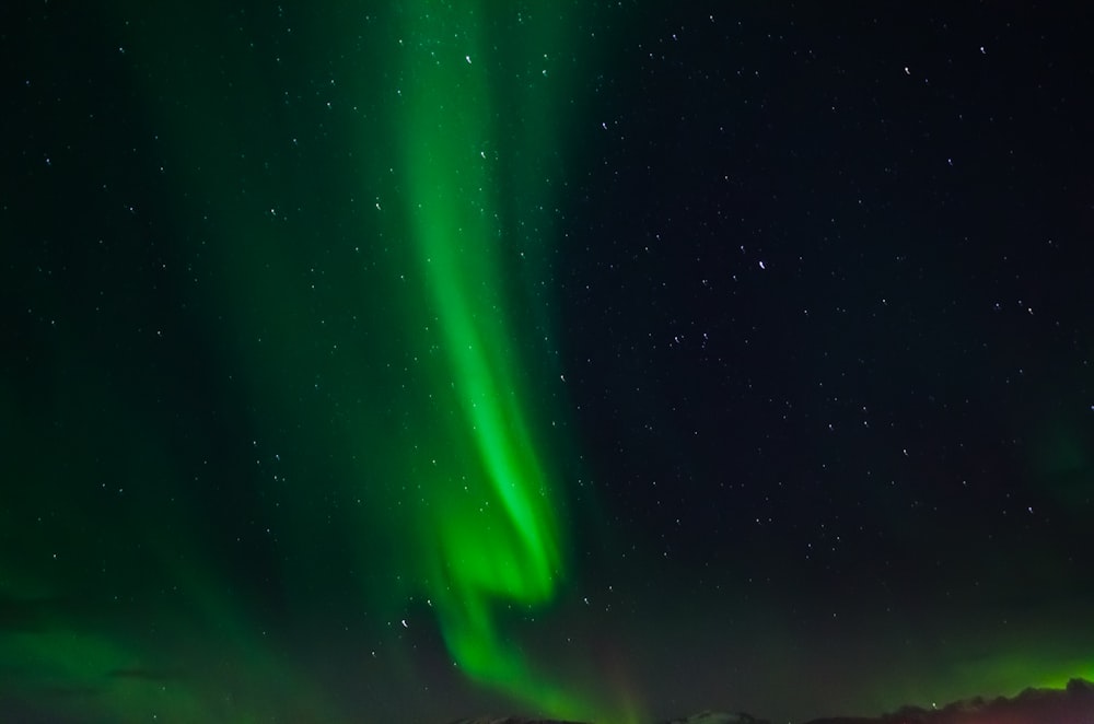 green aurora lights