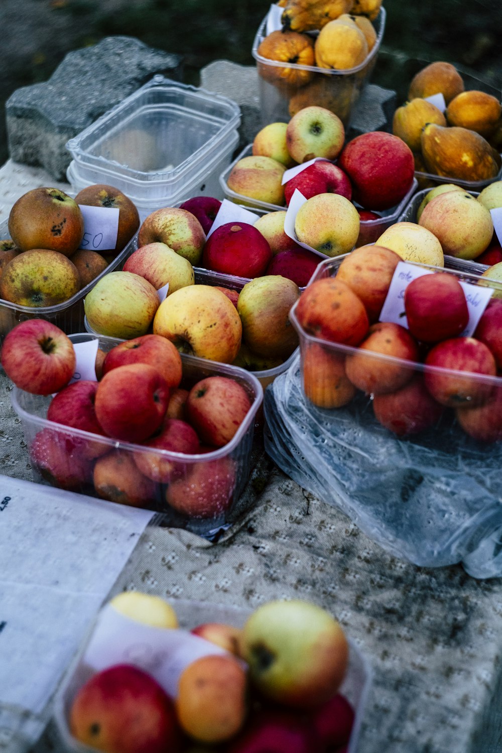 apple lot in boxes