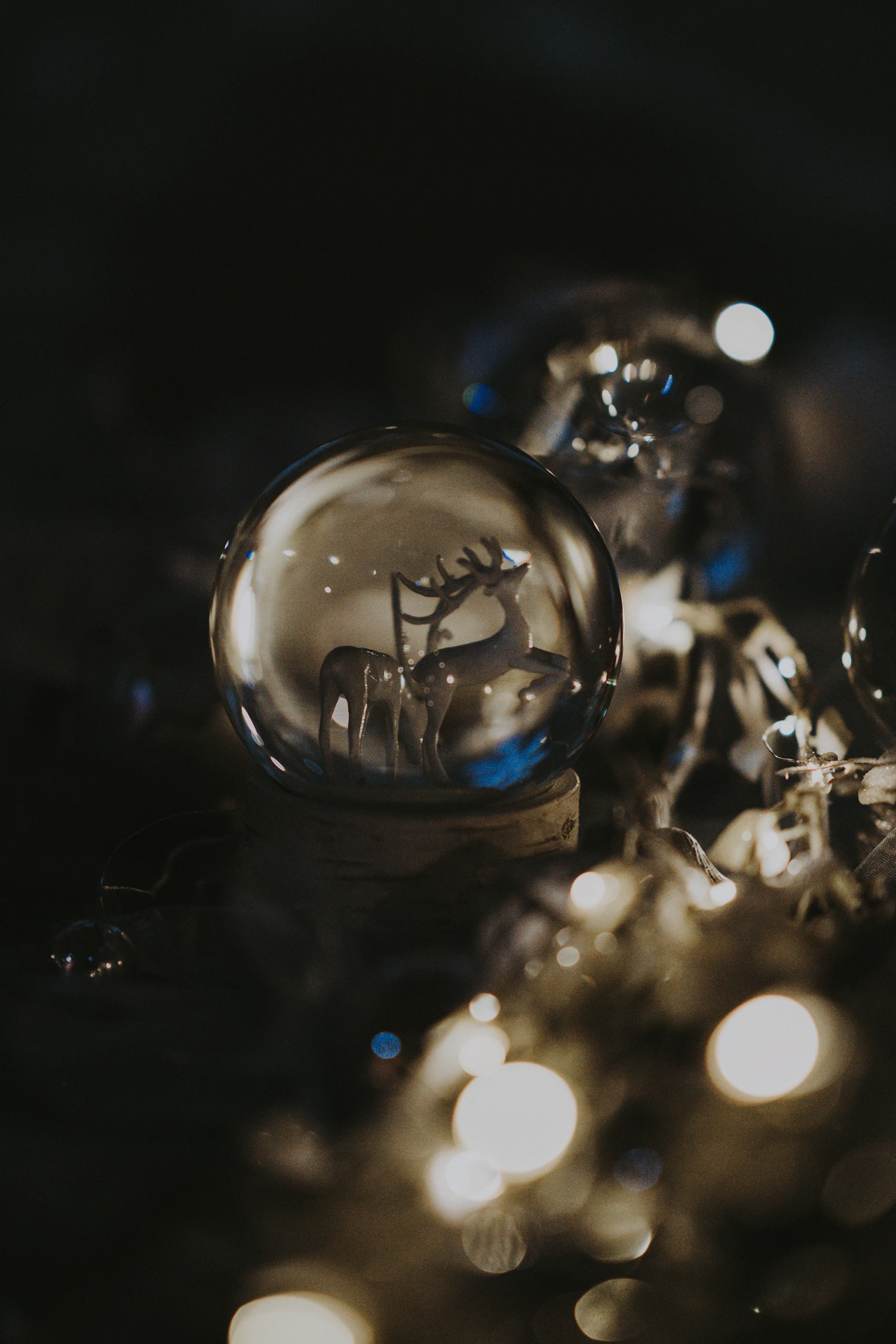 Hirsch snow globe: a glass globe with a stag inside, catching the tree lights
