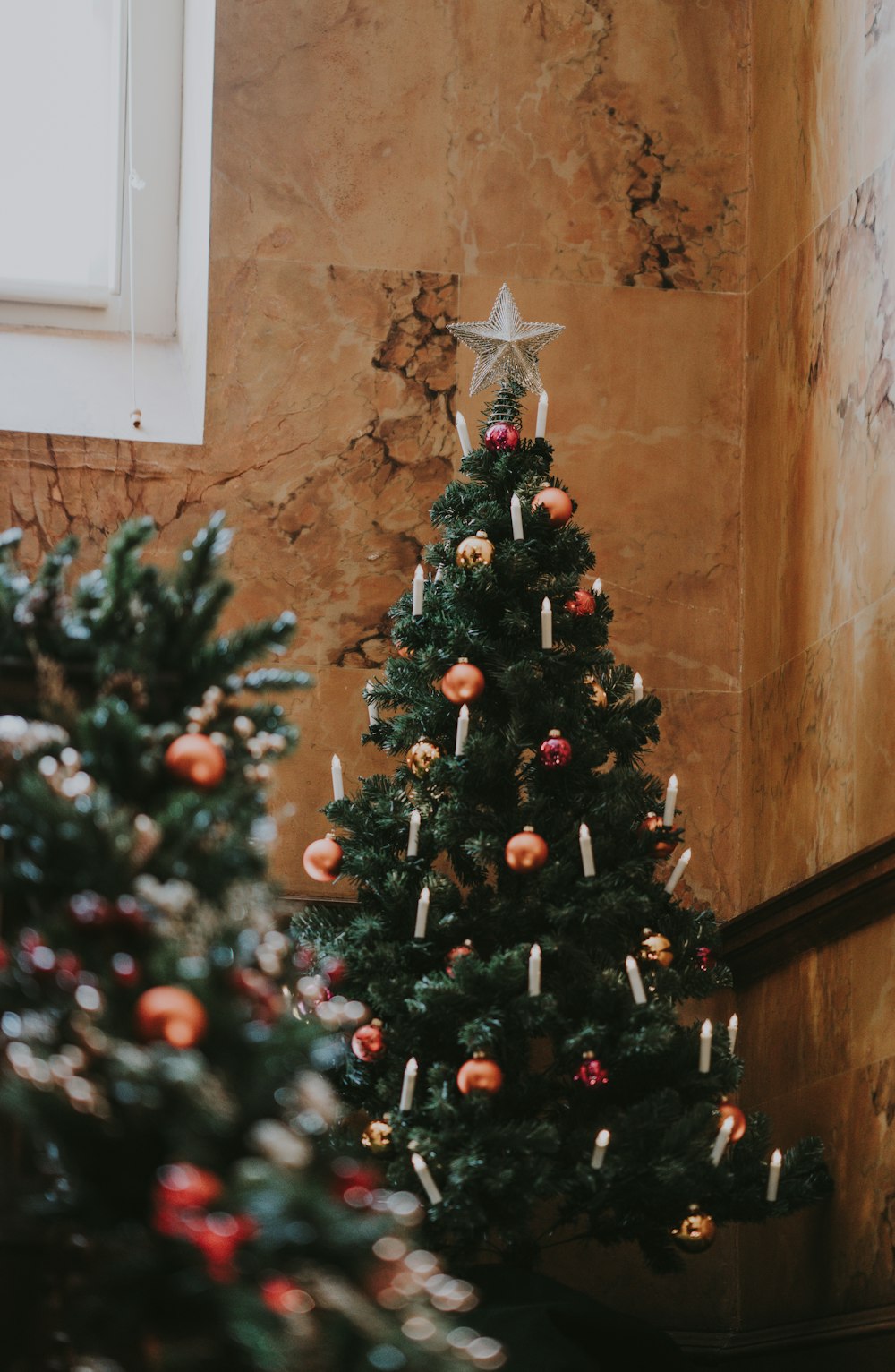 two green Christmas tree inside building