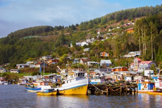 A cozy coastal village with colorful houses and boats docked by the shore.
