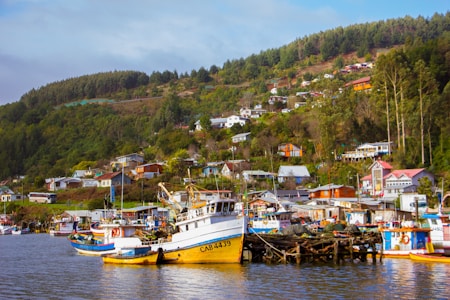 A picturesque coastal village with colorful houses scattered along a hillside. Several fishing boats, including a prominently visible yellow and white one, are docked by the water. The lush green foliage surrounds the village, adding to the serene and charming atmosphere.