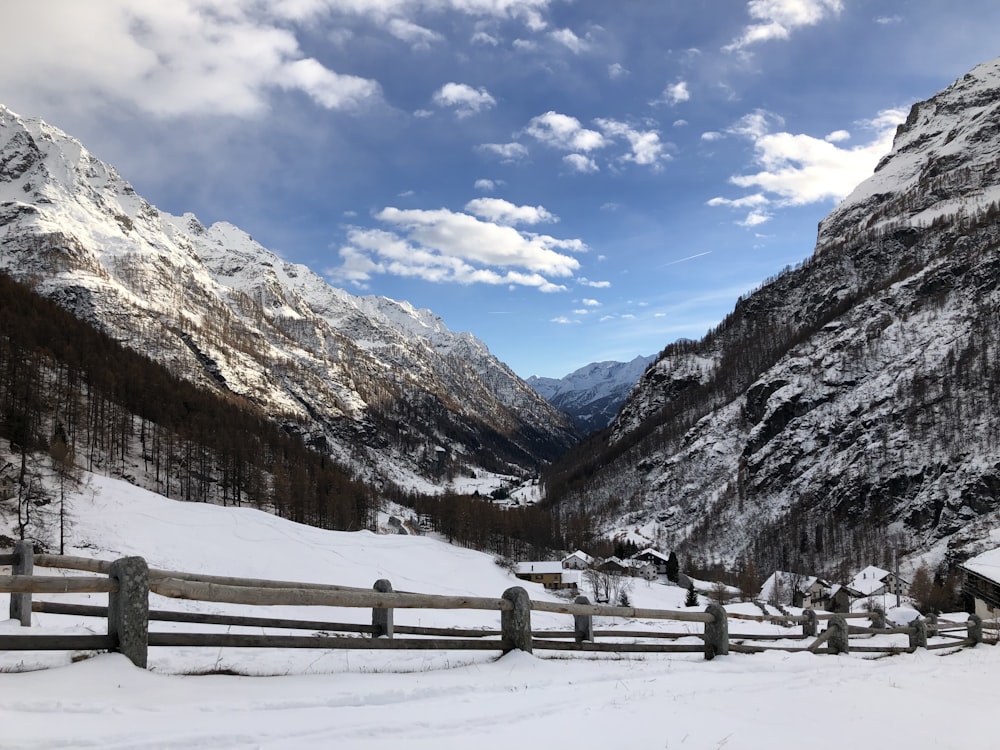 snow-covered fence