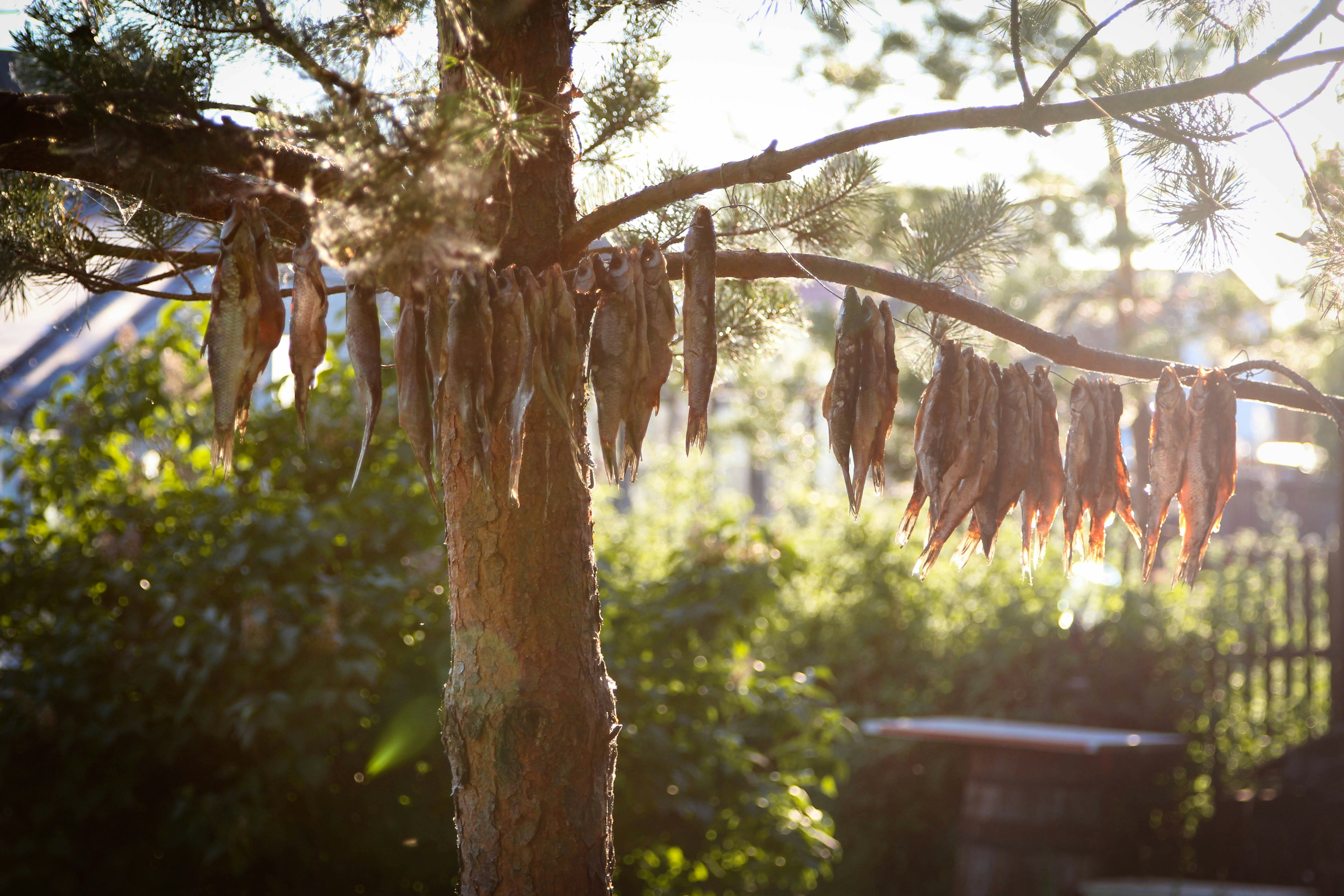 Photo by aboveclouds