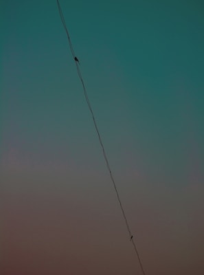 A single power line stretches diagonally across a gradient sky transitioning from teal to a subtle reddish hue with two small birds perched at different points along the wire, creating a sense of balance.