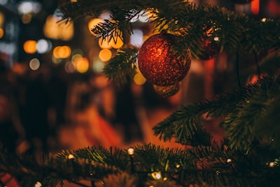 marry christmas, merry christmas dubai