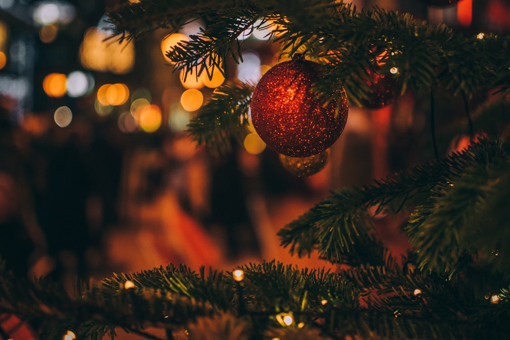 red bauble on tree