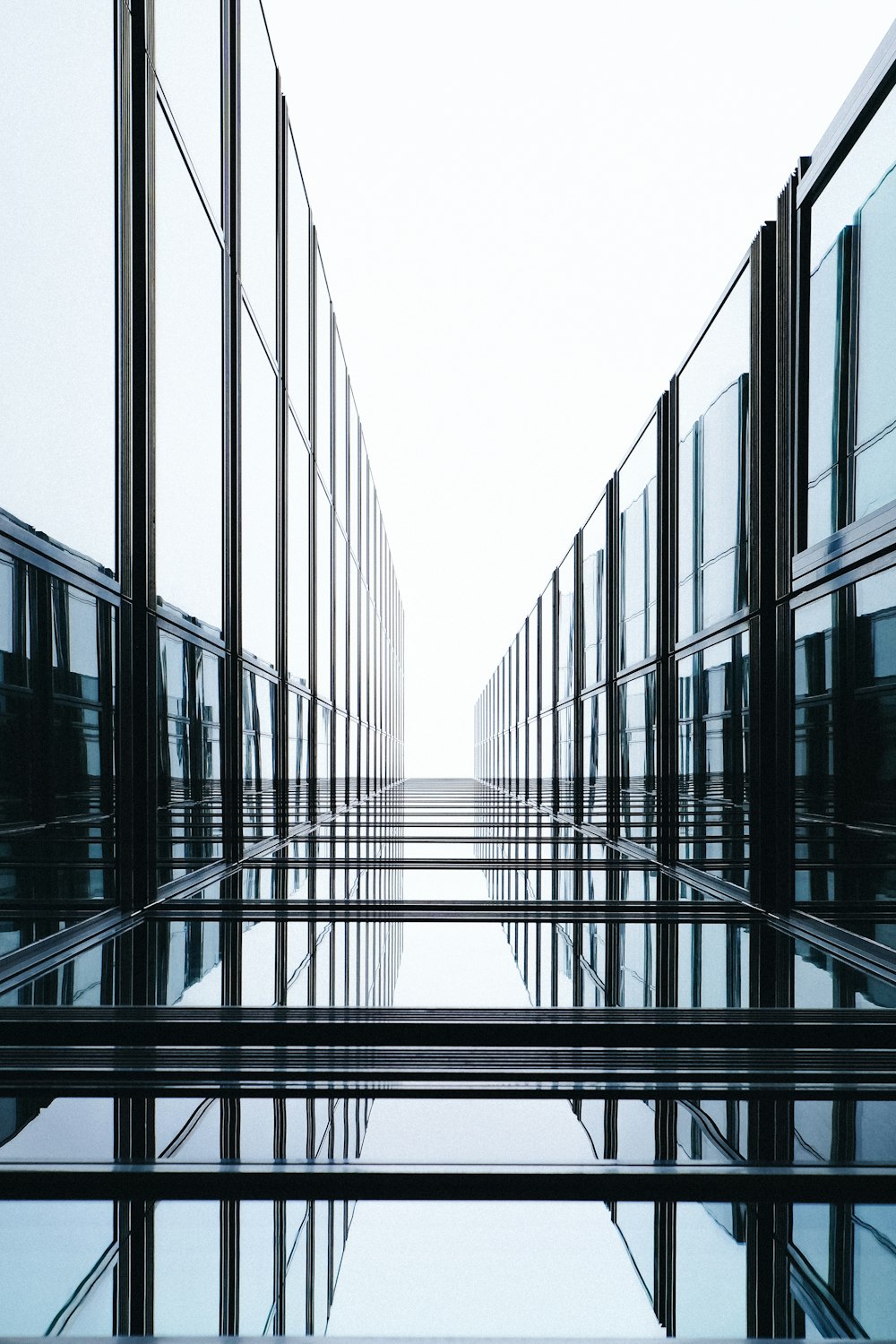 glass wall during daytime