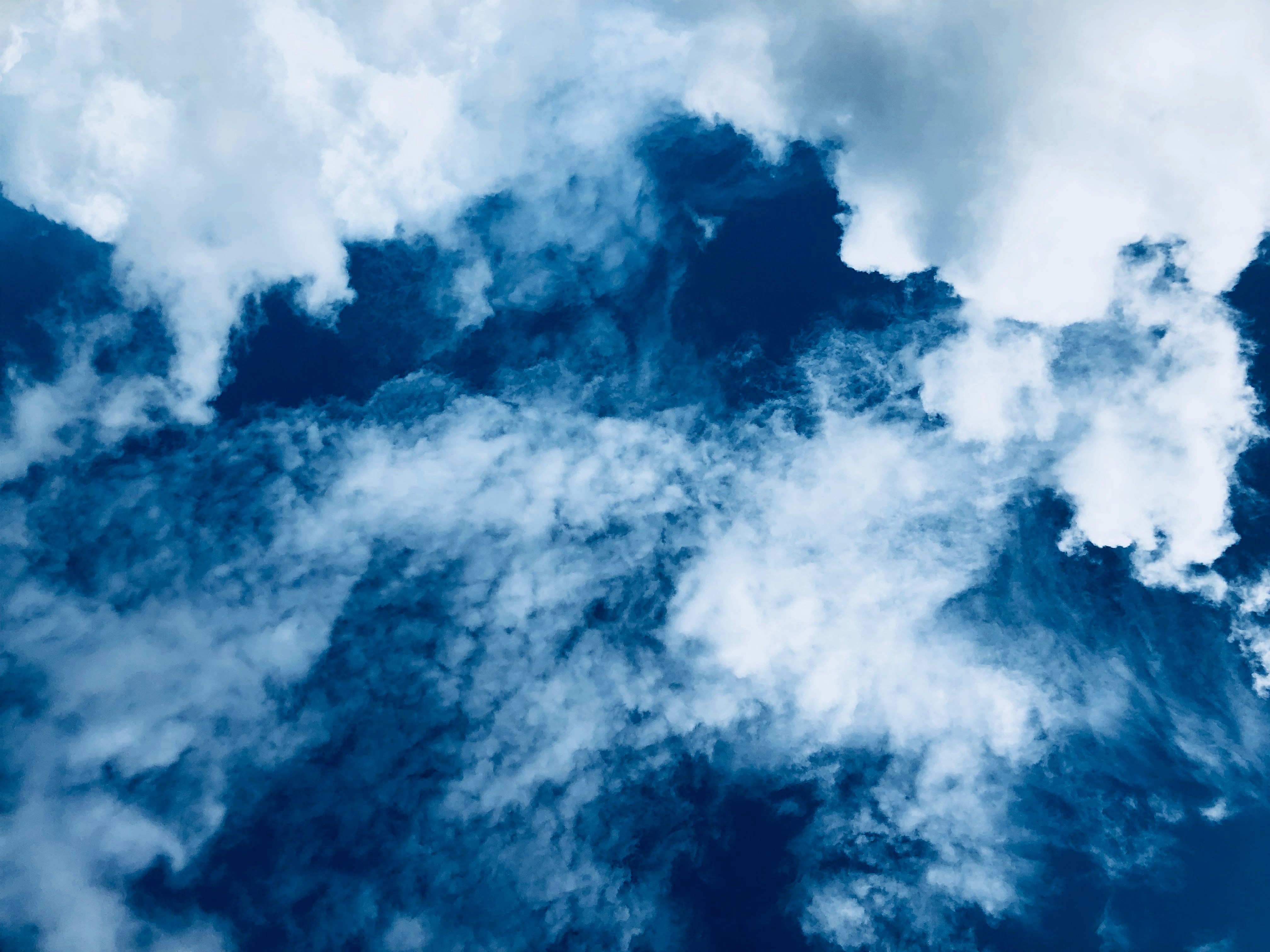 Photo by averycocozziello