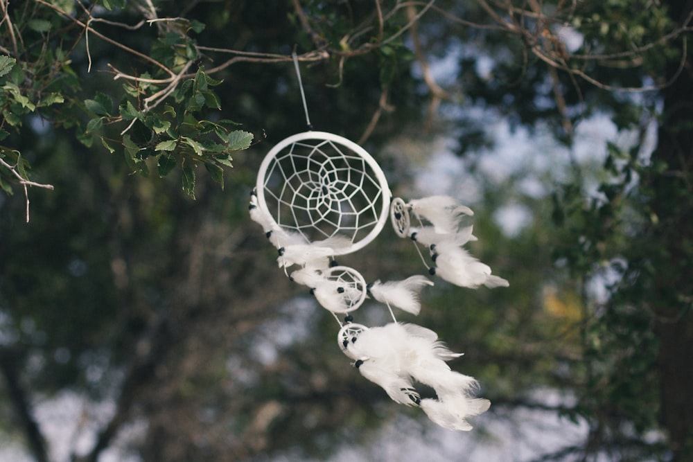 white dream catcher hanged on a green vine