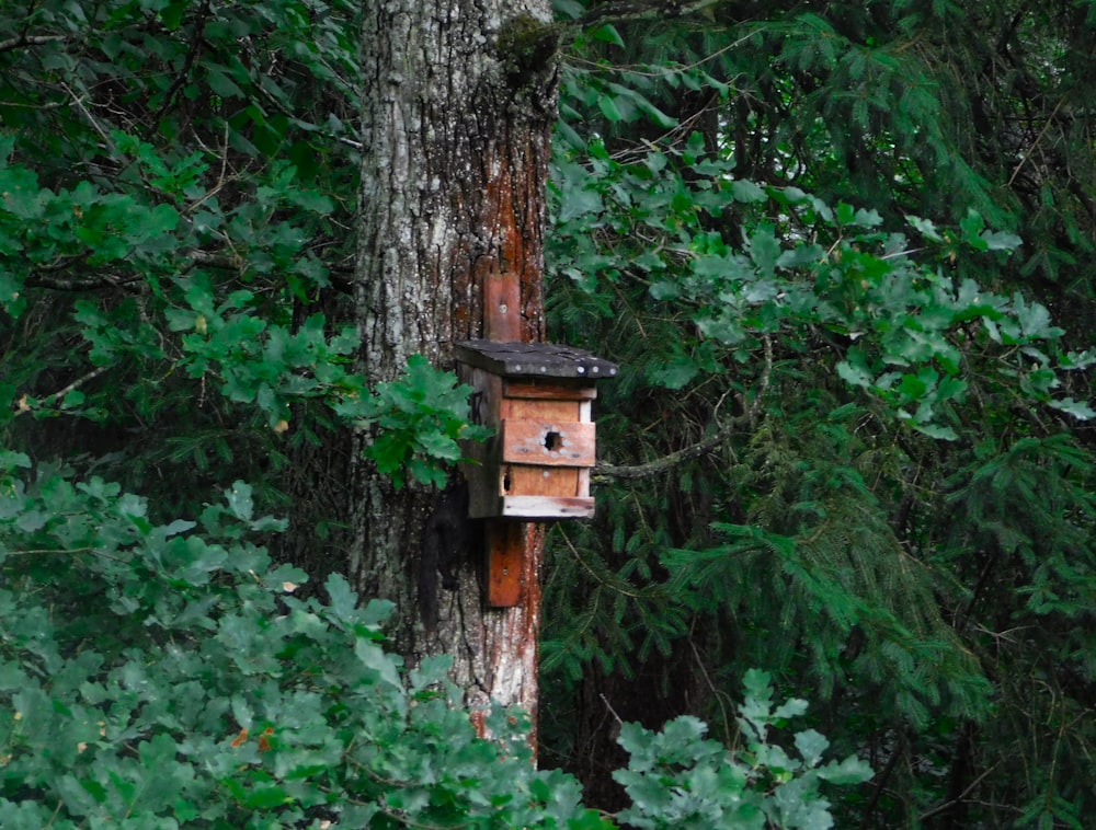 white, brown, and black wooden birdhouse