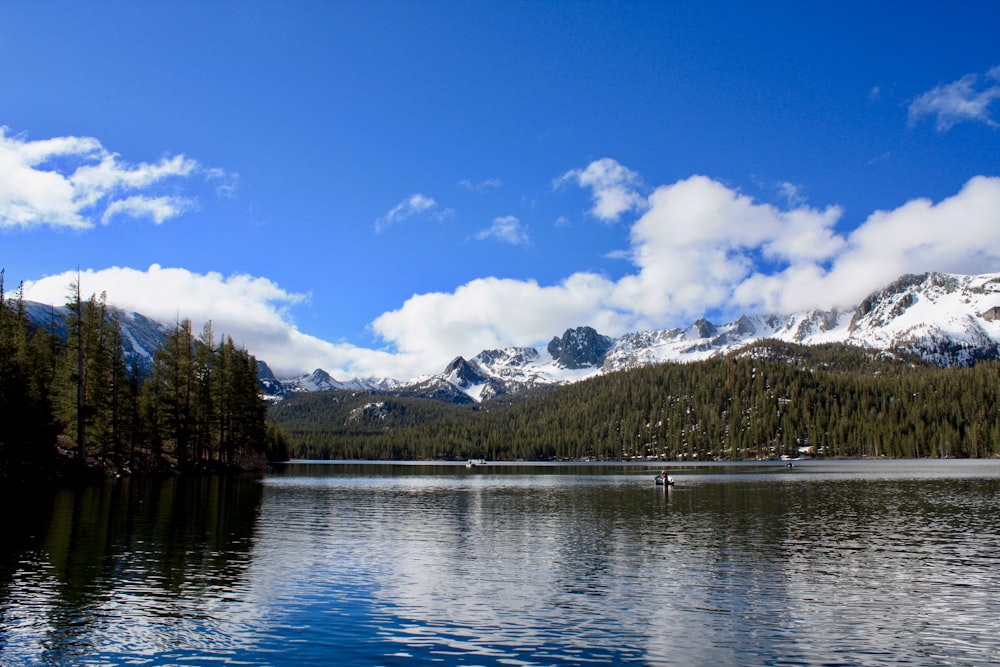 mountain and pine trees across the river landscape photography