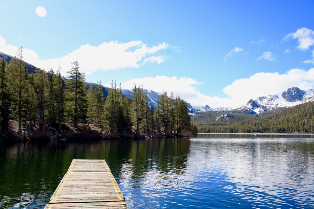 brown wooden dock on body of water near trees during daytime