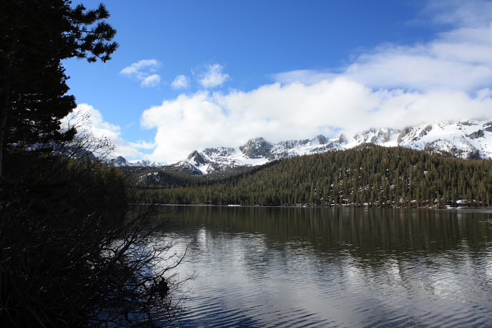 lake water scenery