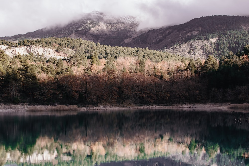 reflection photography of mountain covered with green trees