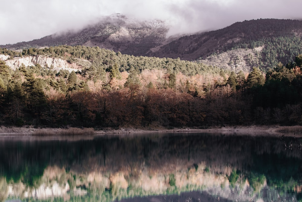 fotografia de reflexão da montanha coberta com árvores verdes
