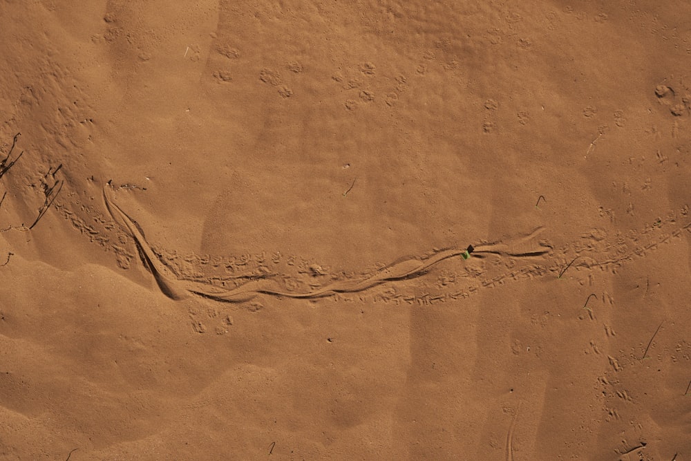 Vista de un lugar desierto marrón