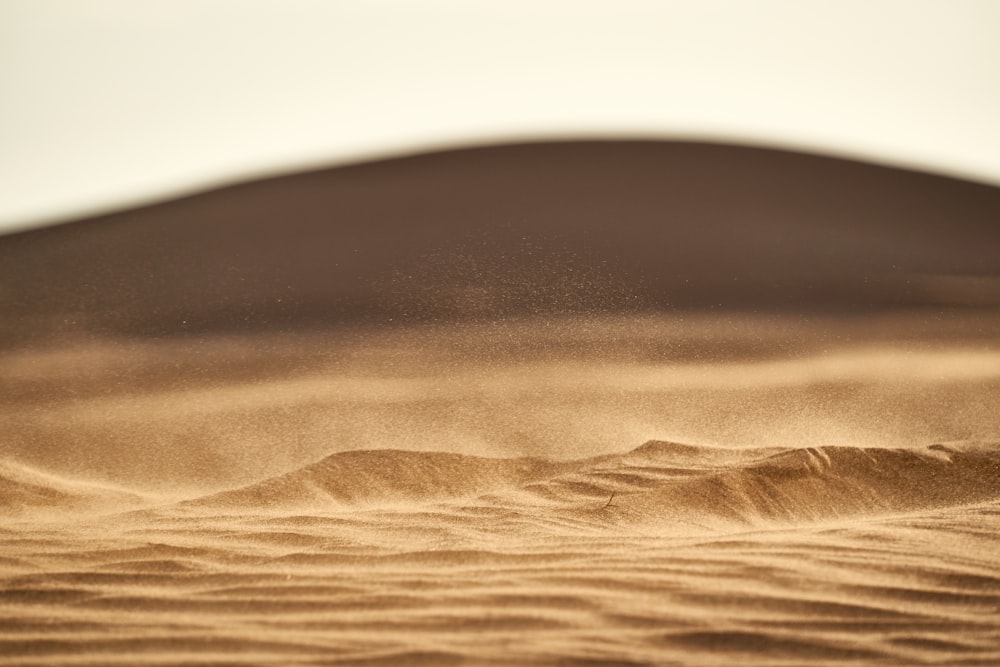 sabbia marrone nella fotografia ravvicinata