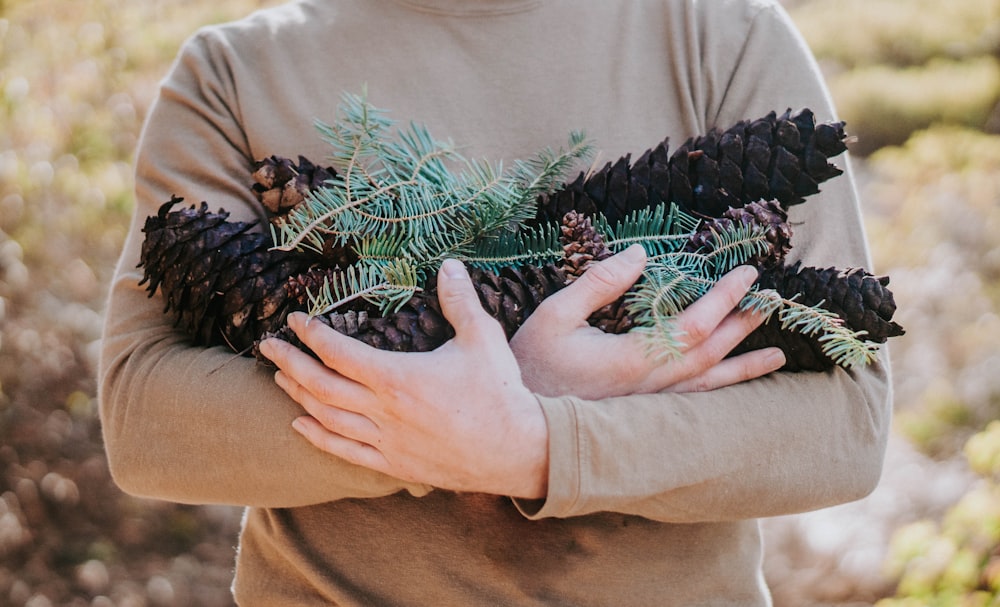 person holding bunch of pine cones