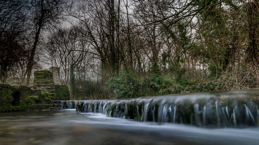 time-lapse photography of river beside trees during daytime