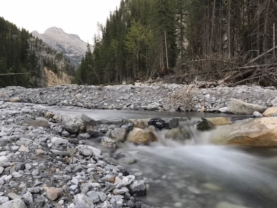 time lapse photography of river in Bow Valley Provincial Park - Kananaskis Country Canada