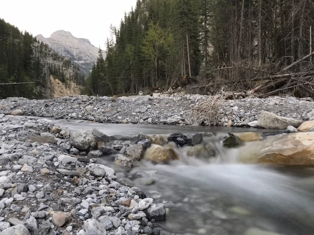 Mountain river photo spot Bow Valley Provincial Park - Kananaskis Country Vermilion Crossing