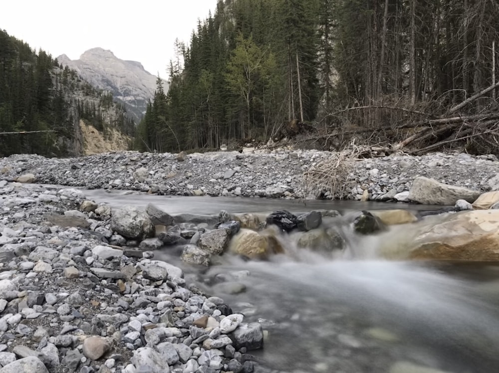 time lapse photography of river