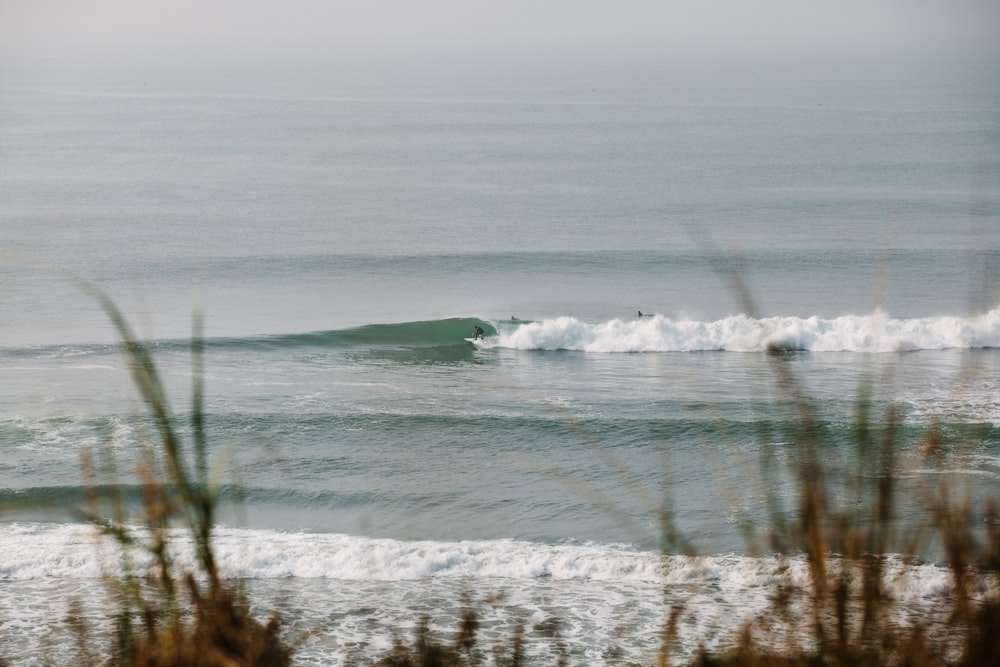 vagues de l’océan sur le rivage pendant la journée