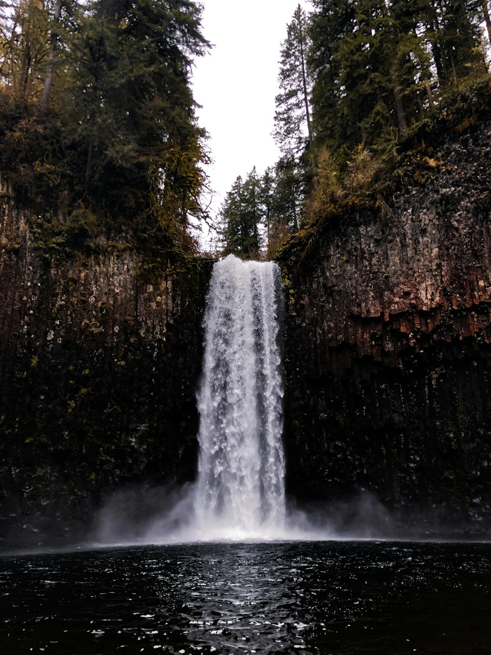 Chutes d’eau dans la forêt