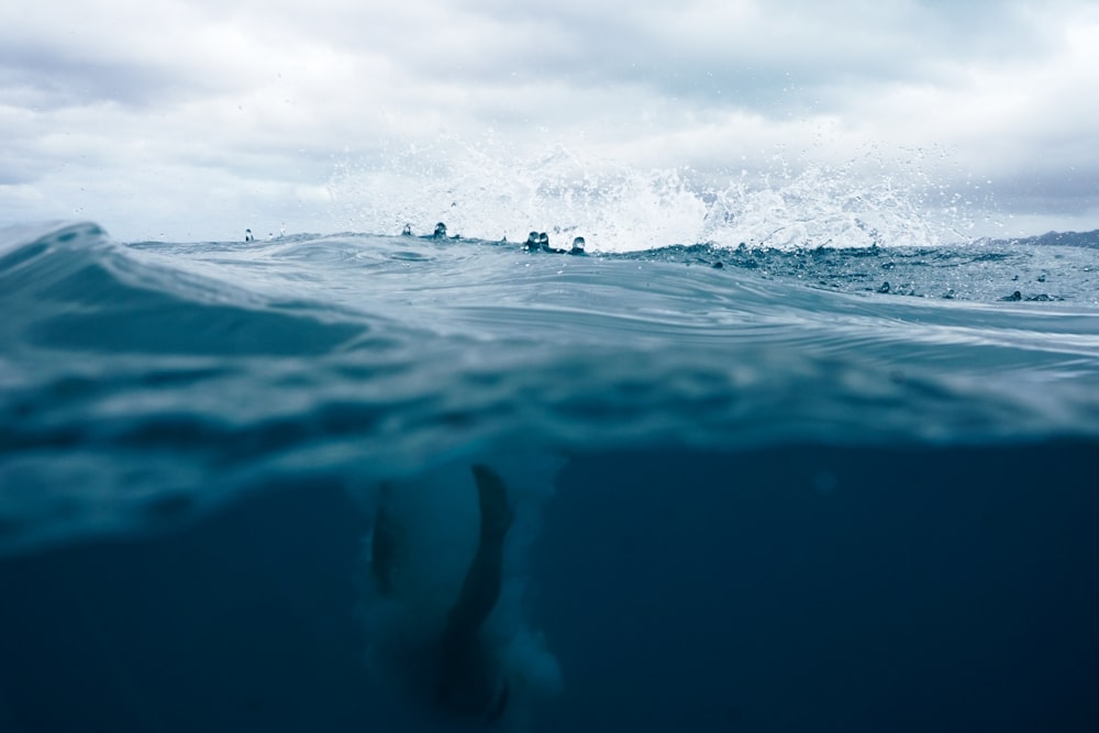 closeup photography of body of water