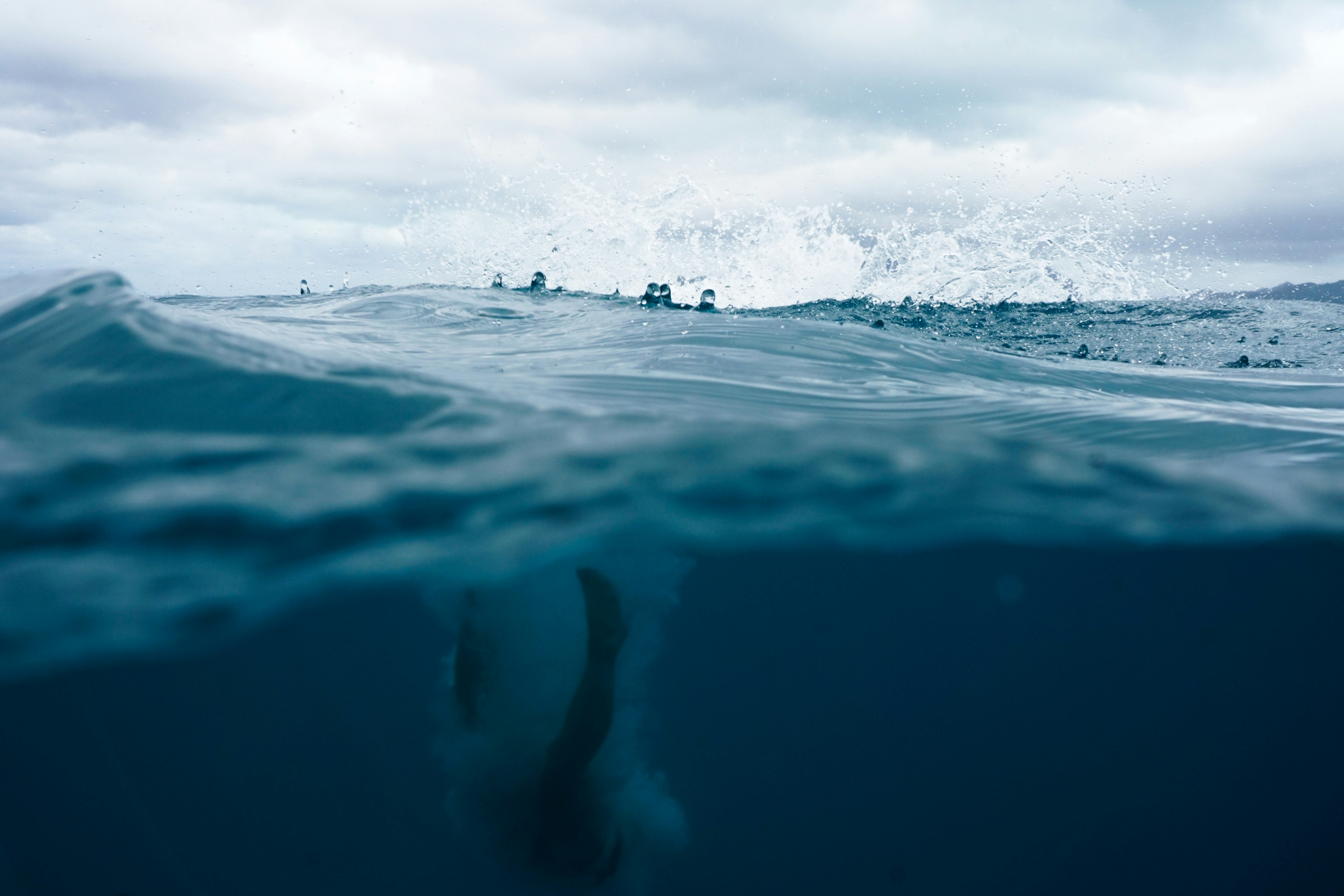 Featured image of post FluidVoice