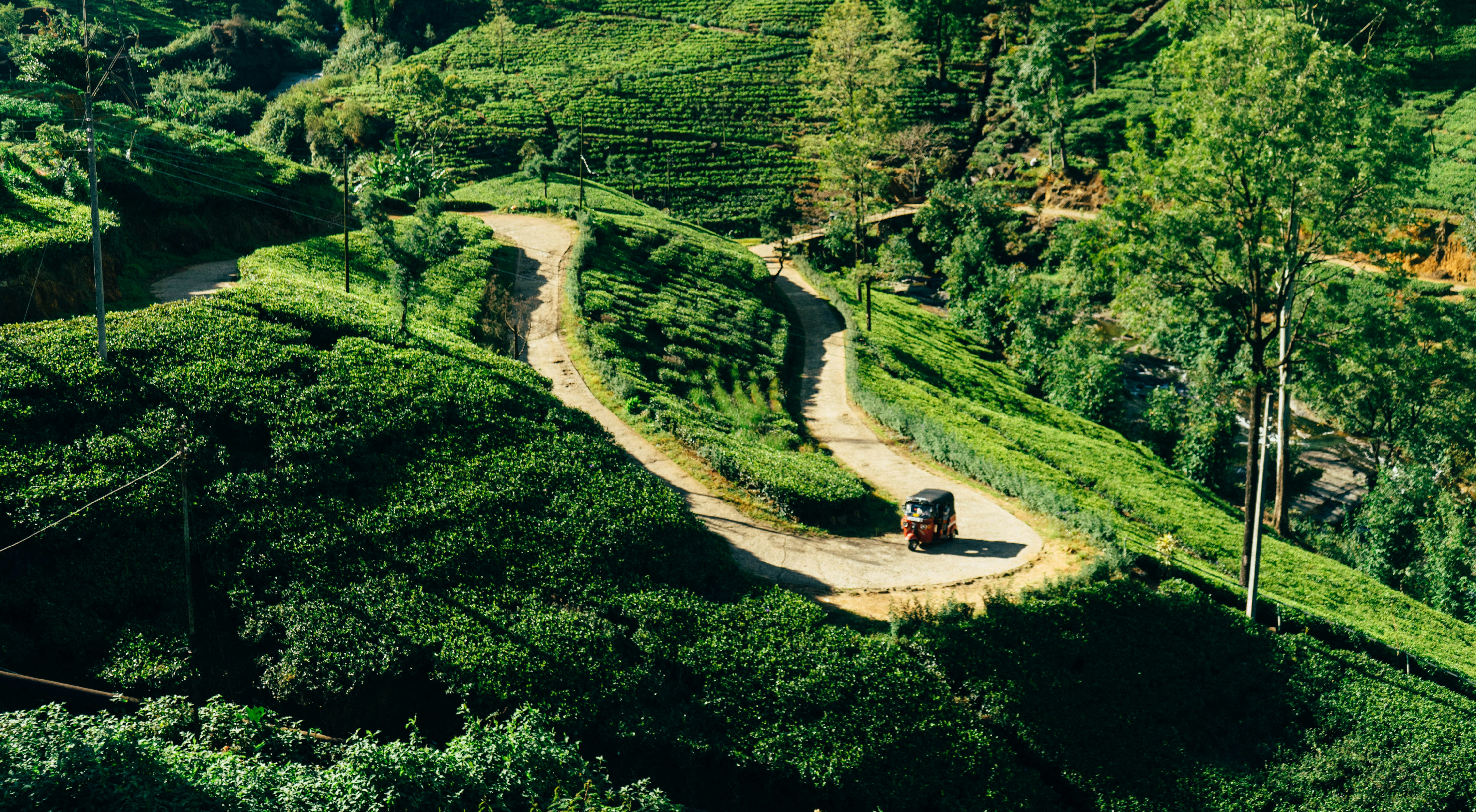 Photo by martinpechy