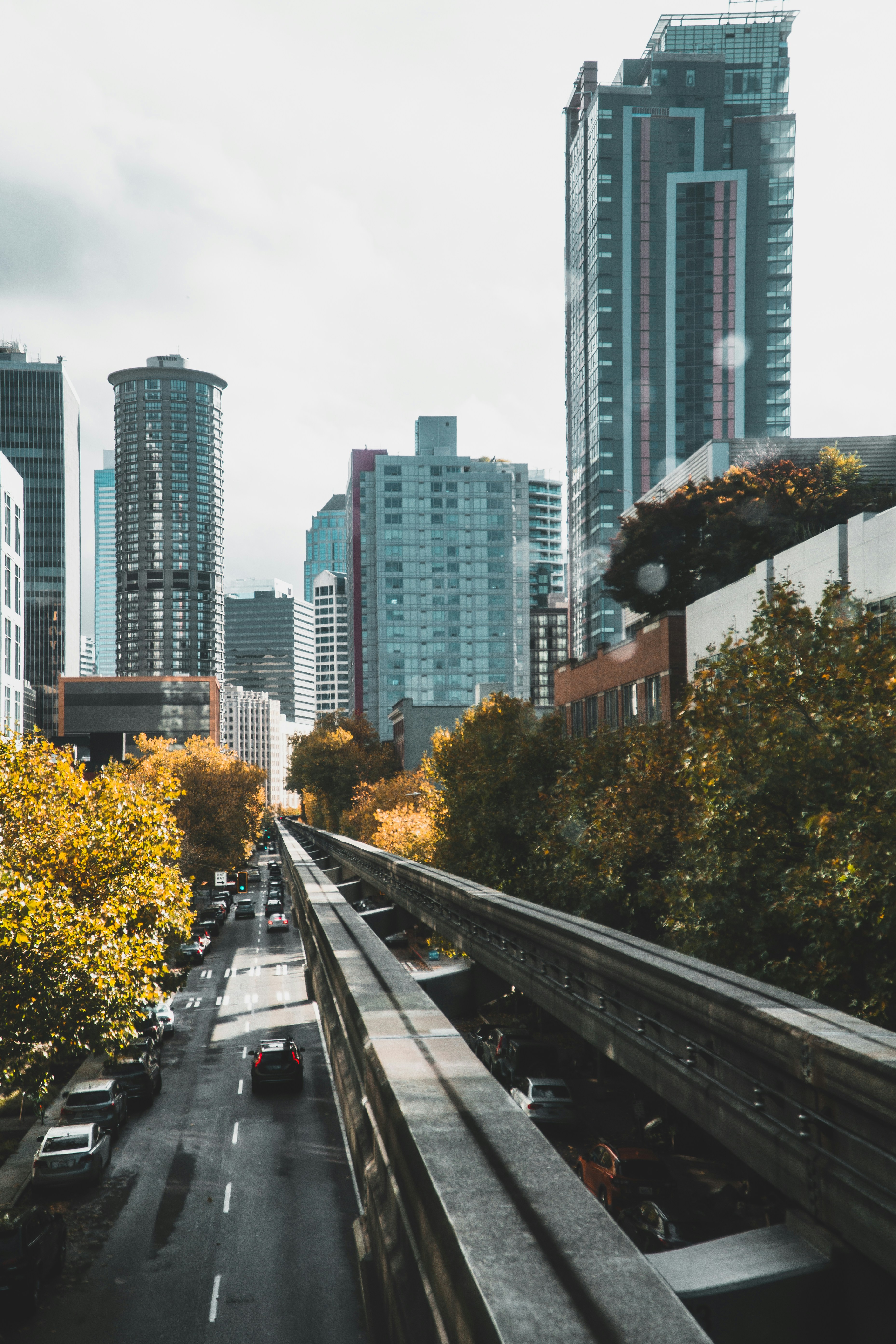 Photo by _tristanpineda