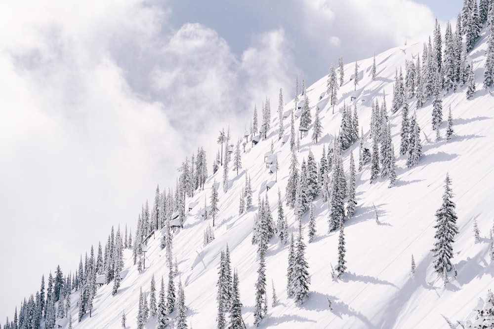 snow covered mountain during daytime