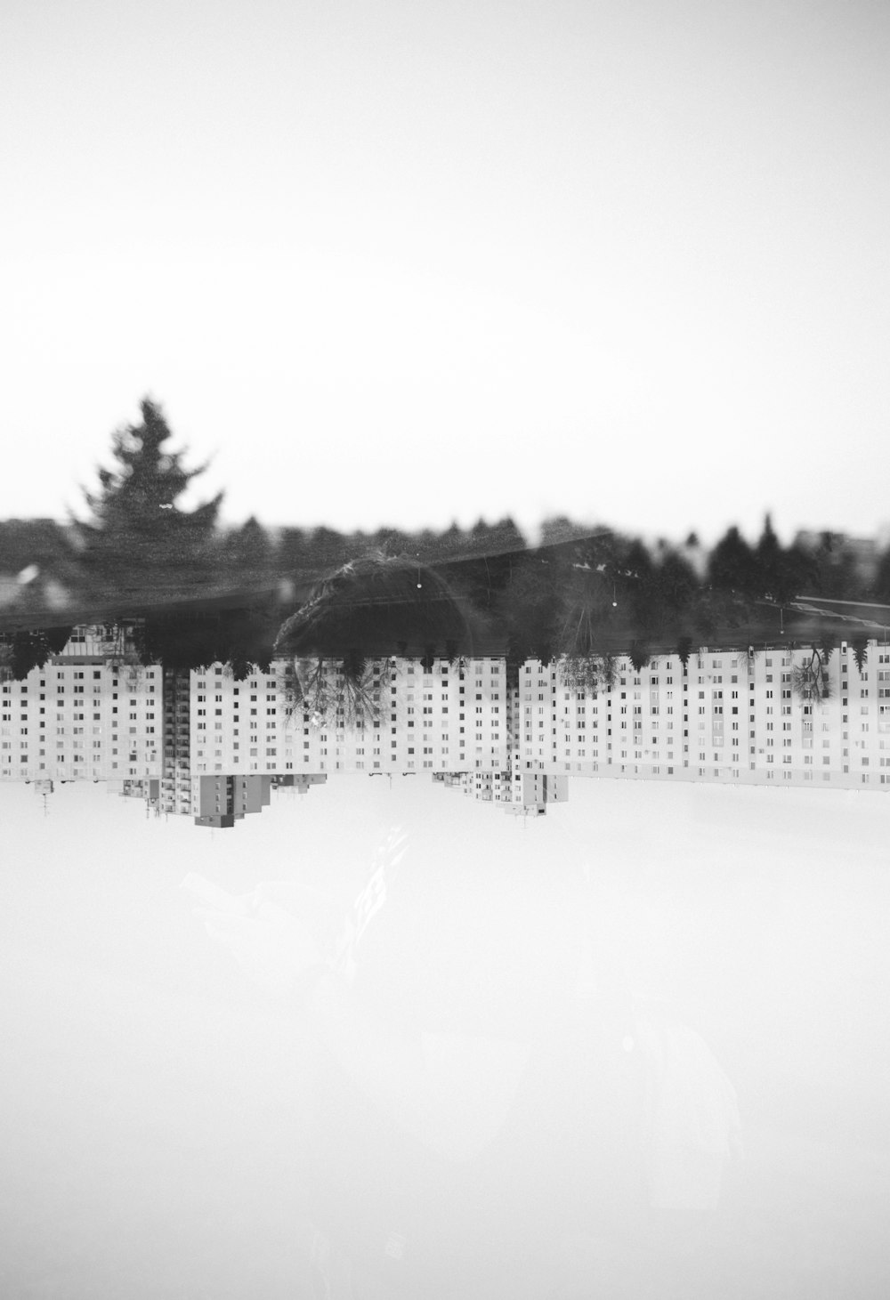 white fence and gray tree