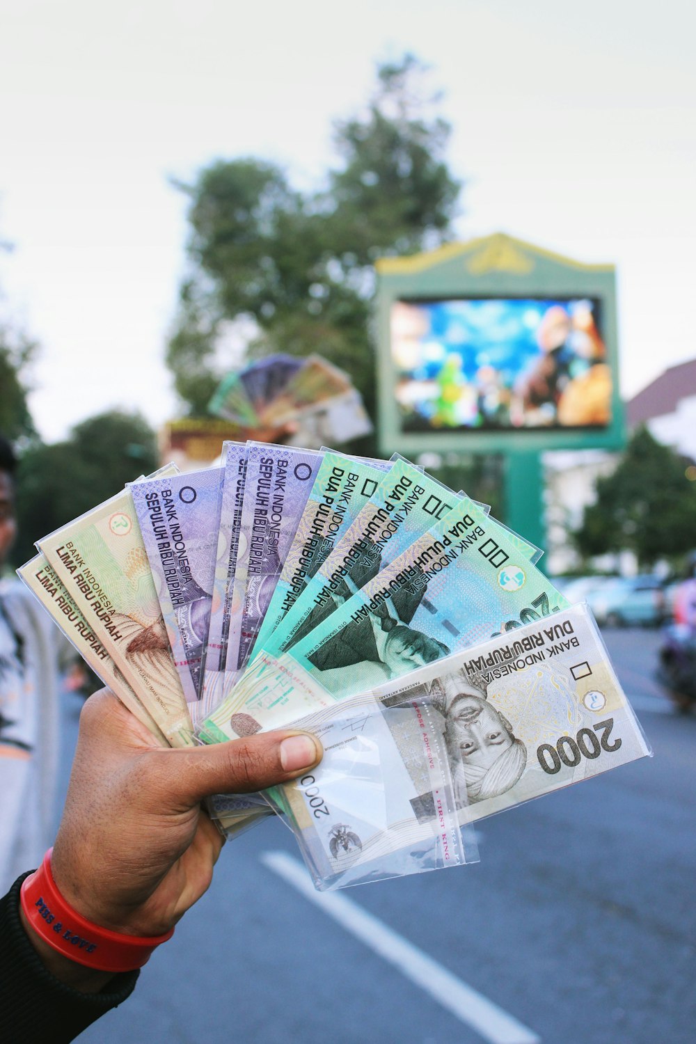 person holding fan of banknote