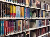 Stacks of well-organized books with colorful covers in the Central Library.