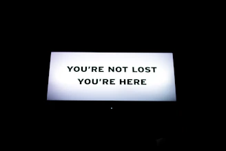 turned-on flat screen TV
