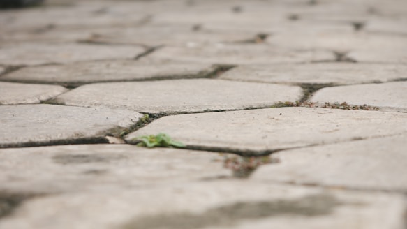 Close-up of a beautifully patterned interlock stone pathway winding through a manicured lawn.