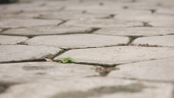 A close-up of paver slabs installed in a garden pathway.