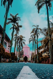 A picturesque view of a pink church situated at the end of a palm-tree-lined avenue. The sky has a turquoise tint, and the road features a prominent white line leading to the church. The lush palm trees add a tropical feel to the scene, and there are a few people visible near the entrance of the church.