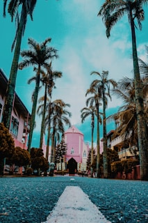 A picturesque view of a pink church situated at the end of a palm-tree-lined avenue. The sky has a turquoise tint, and the road features a prominent white line leading to the church. The lush palm trees add a tropical feel to the scene, and there are a few people visible near the entrance of the church.