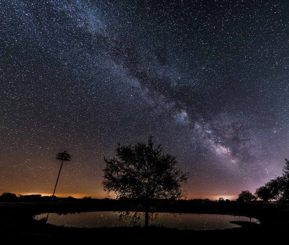 silhouette of trees under milky way during night