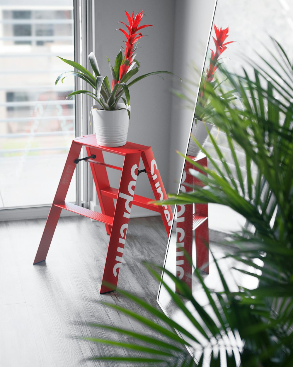 Planta en maceta roja en escalera naranja