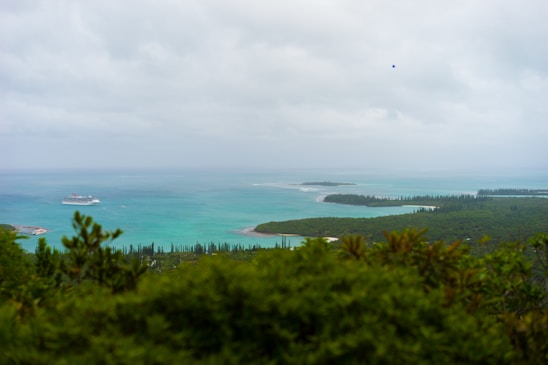 A scenic view of a coastal landscape with a cruise ship in the background.