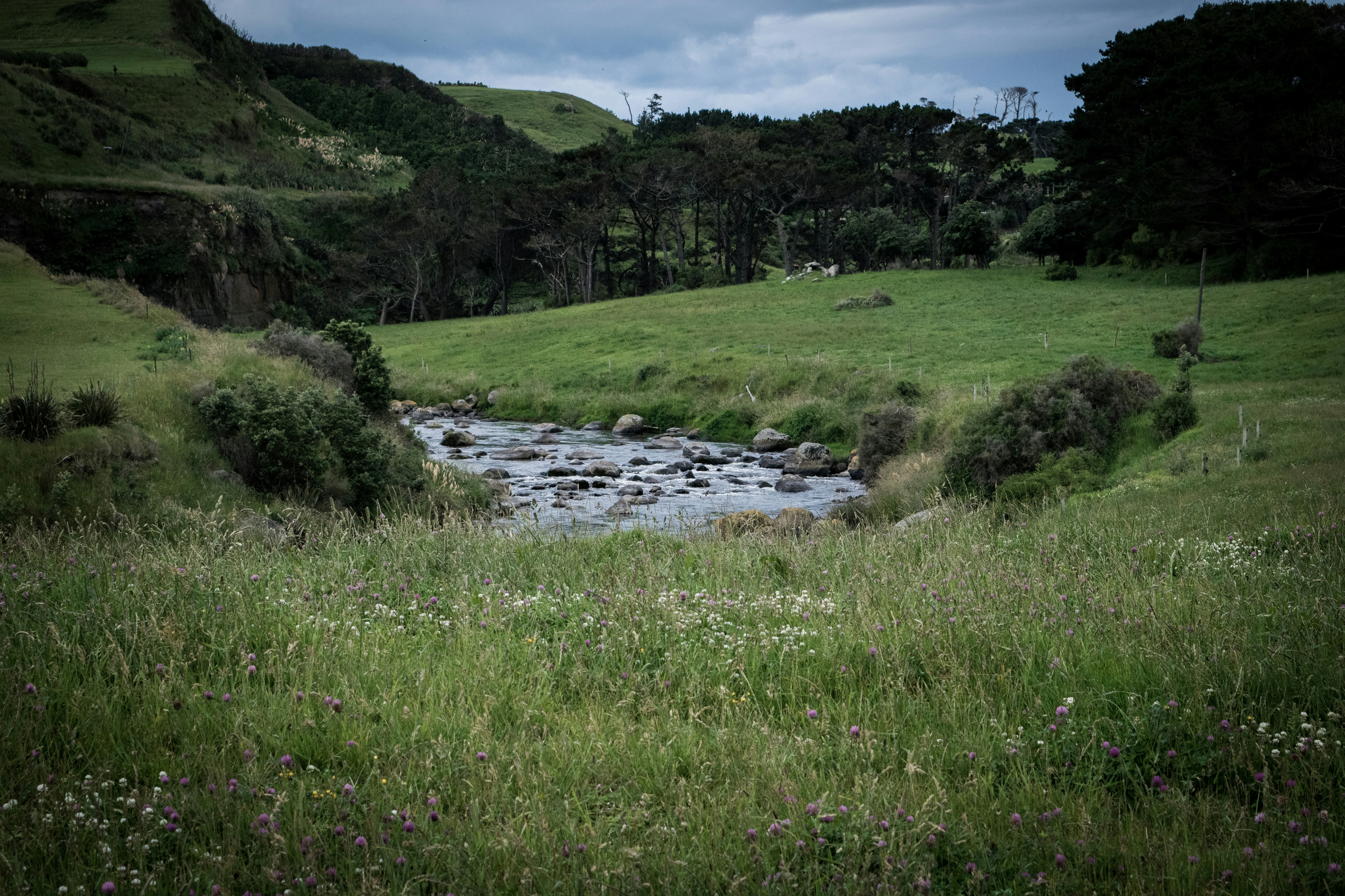 The Beautiful Waingongoro River