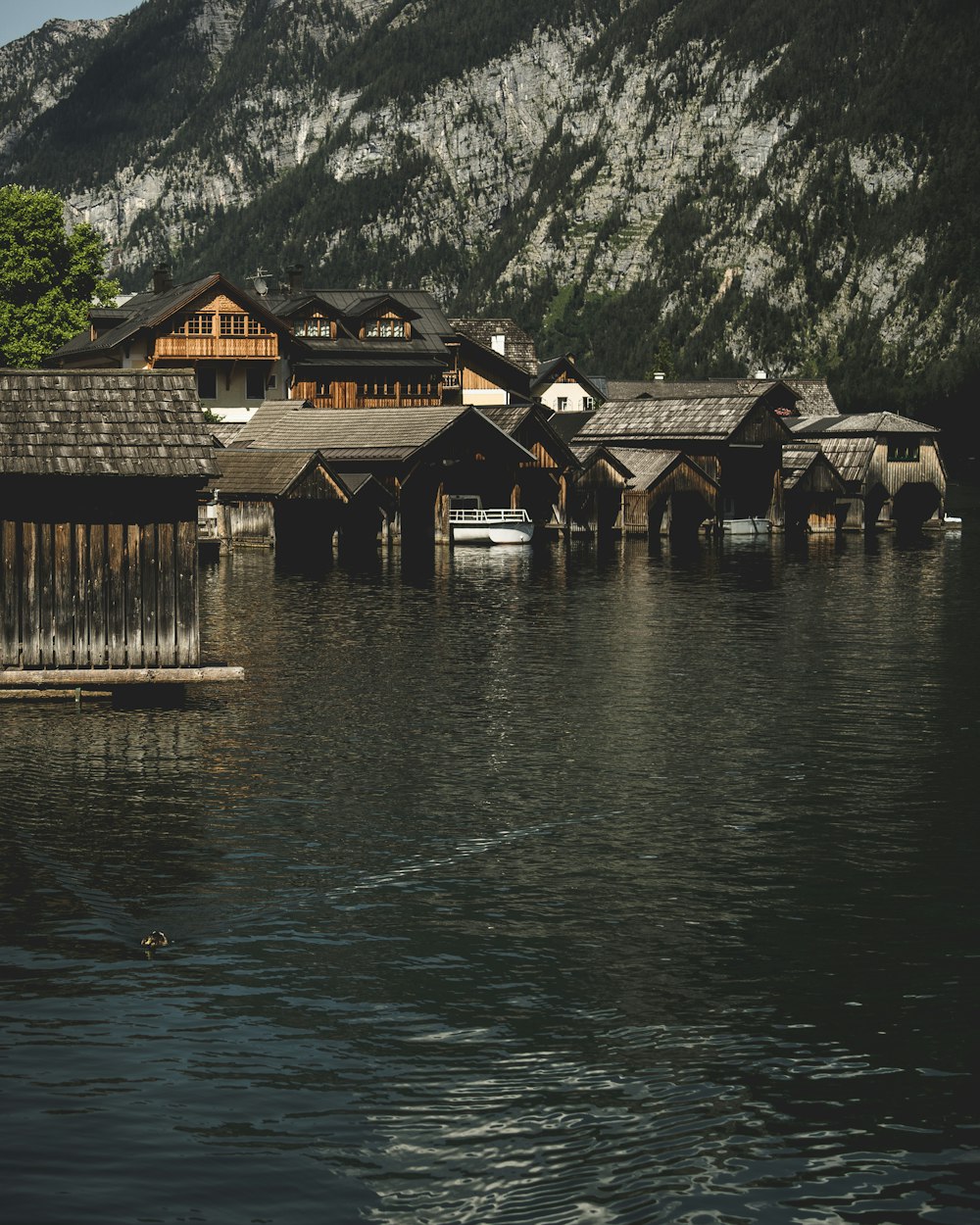 brown houses on calm body of water