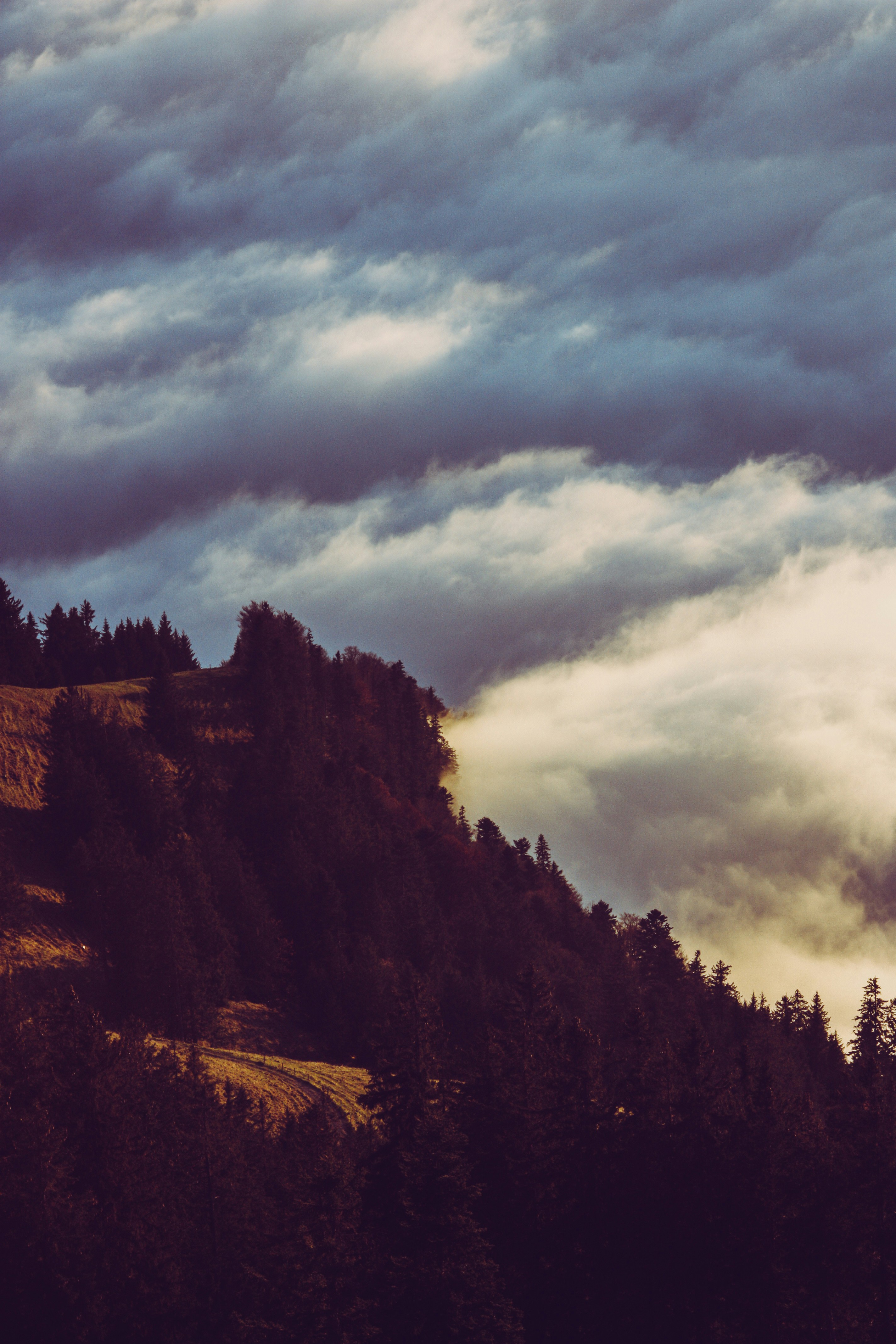 Photo by theverticalstory